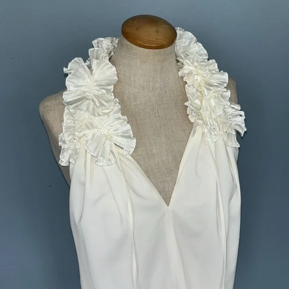 NWT Robbi & Nikki size small ivory ruffle top - Picture 2 of 7